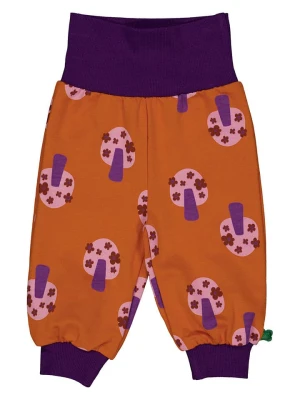 Fred´s World by GREEN COTTON Spodnie dresowe "Vibes" w kolorze pomarańczowym rozmiar: 92