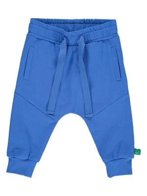 Fred´s World by GREEN COTTON Spodnie dresowe w kolorze niebieskim rozmiar: 68