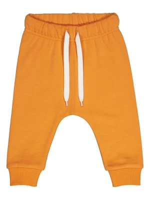 Fred´s World by GREEN COTTON Spodnie dresowe w kolorze pomarańczowym rozmiar: 68