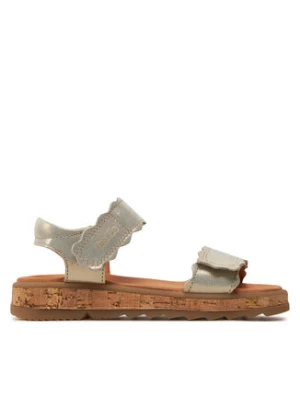 Froddo Sandały Alana G3150253-1 M Złoty