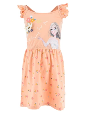 FROZEN Sukienka "Kraina Lodu" w kolorze brzoskwiniowym rozmiar: 104