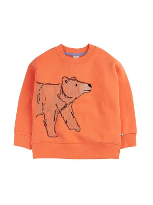 Frugi Bluza "Superb" w kolorze pomarańczowym rozmiar: 98/104