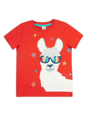 Frugi Koszulka "Carsen" w kolorze czerwono-białym rozmiar: 98/104