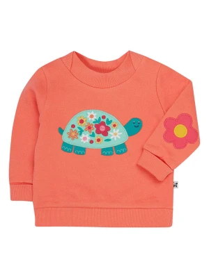 Frugi Sweter "Easy One" w kolorze turkusowo-pomarańczowym rozmiar: 98/104
