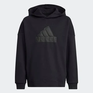Future Icons Logo Hooded Sweatshirt Adidas