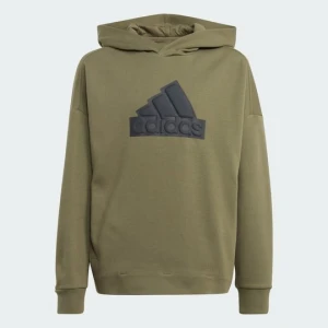 Future Icons Logo Hooded Sweatshirt Adidas