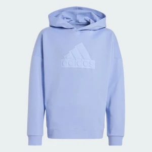 Future Icons Logo Hooded Sweatshirt Adidas Blue Spark