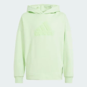 Future Icons Logo Hooded Sweatshirt Adidas zielony