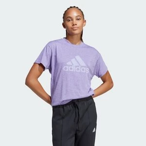 Future Icons Winners Tee Adidas