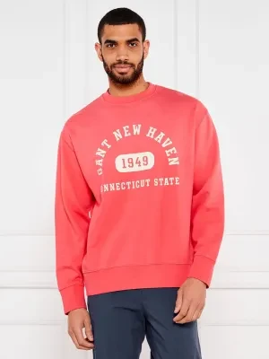 Gant Bluza GRAPHIC | Relaxed fit