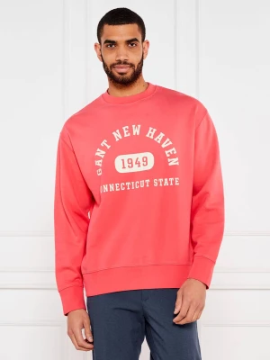Gant Bluza GRAPHIC | Relaxed fit