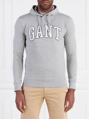 Gant Bluza | Regular Fit szary