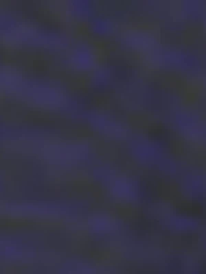 GANT męska kurtka dwustronna z kapturem