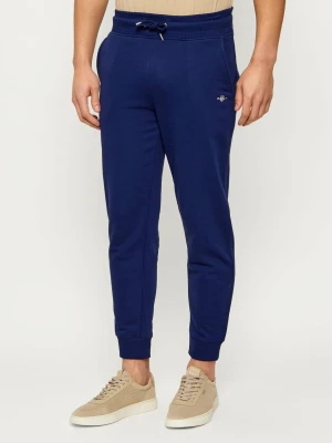 Gant Spodnie dresowe | Regular Fit