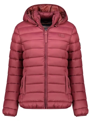 Geographical Norway Kurtka pikowana "Atichoko" w kolorze ciemnofioletowym rozmiar: XXL