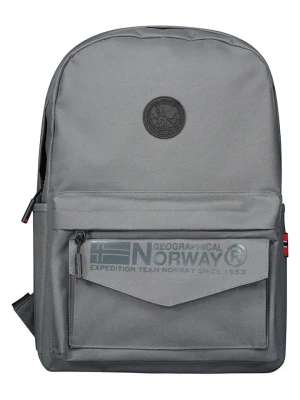 Geographical Norway Plecak "Serdon" w kolorze szarym - 30 x 42 x 12 cm rozmiar: onesize