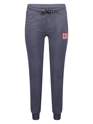 Geographical Norway Spodnie dresowe "Monbichon" w kolorze szarym rozmiar: M
