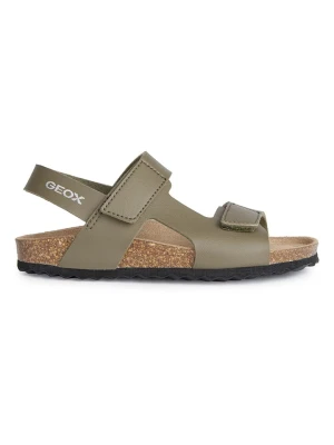Geox Sandały "Ghita" w kolorze khaki rozmiar: 29