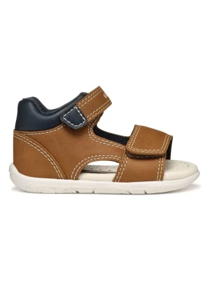 Geox Sandały "Tapuz" w kolorze granatowo-jasnobrązowym rozmiar: 22