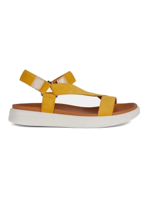 Geox Sandały "Xand" w kolorze żółtym rozmiar: 37