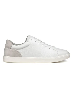 Geox Skórzane sneakersy "Avola" w kolorze biało-szarym rozmiar: 43