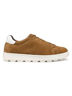 Geox Skórzane sneakersy "Spherica Ecub" w kolorze jasnobrązowym rozmiar: 42