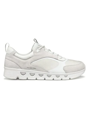 Geox Skórzane sneakersy "Spherica Ecub" w kolorze kremowym rozmiar: 44