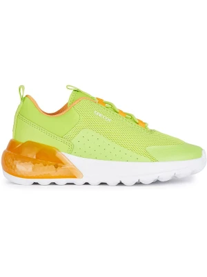 Geox Sneakersy "Activart" w kolorze zielonym rozmiar: 31