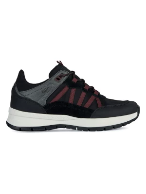 Geox Sneakersy "Braies" w kolorze czarnym rozmiar: 38