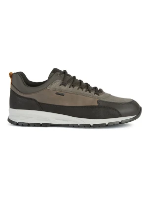 Geox Sneakersy "Delray" w kolorze khaki rozmiar: 43