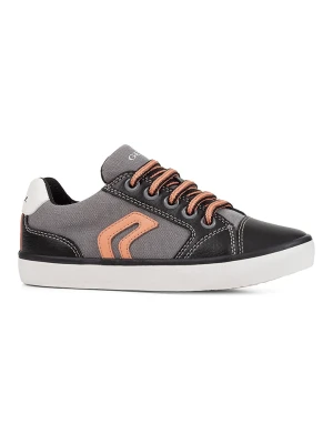 Geox Sneakersy "Gisli" w kolorze antracytowym rozmiar: 36
