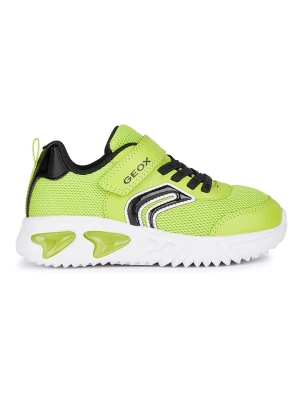 Geox Sneakersy "Lights - Assister" w kolorze limonkowym rozmiar: 35