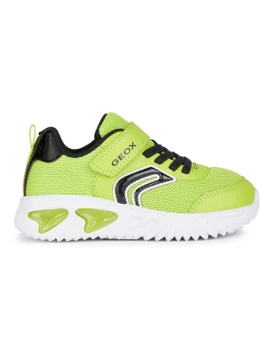 Geox Sneakersy "Lights - Assister" w kolorze limonkowym rozmiar: 33