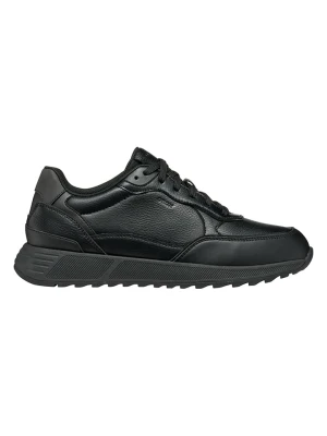 Geox Sneakersy "Molveno" w kolorze czarnym rozmiar: 42