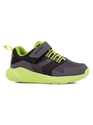 Geox Sneakersy "Sprinttye" w kolorze zielonym rozmiar: 30