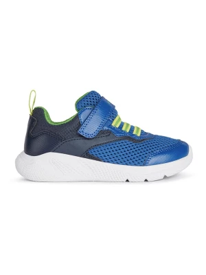 Geox Sneakersy "Sprintye" w kolorze granatowo-niebieskim rozmiar: 28
