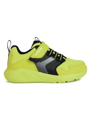 Geox Sneakersy "Sprintye" w kolorze zielonym rozmiar: 33