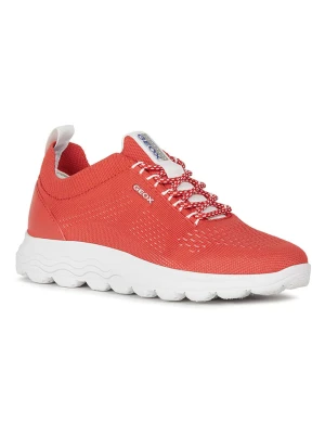Geox Sneakersy w kolorze czerwonym rozmiar: 37