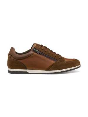 Geox U RENAN sneakersy męskie brązowy