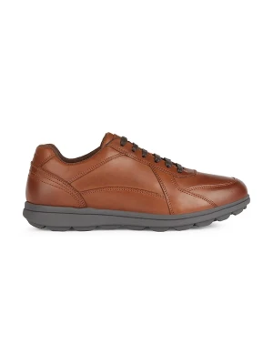 Geox U SPHERICA EC12 sneakersy męskie skórzane brązowy