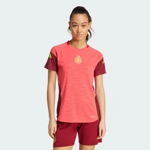 Germany Tiro 25 Pro Training Jersey Adidas