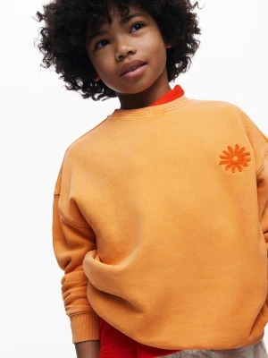 Gładka bluza chłopięca Desigual