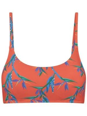 Góra od bikini Shiwi