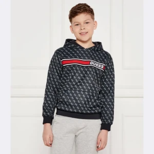 GUESS ACTIVE Bluza | Regular Fit