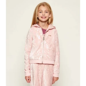 GUESS ACTIVE Bluza | Regular Fit