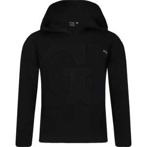 Zdjęcie produktu GUESS ACTIVE Bluza | Regular Fit