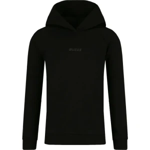 GUESS ACTIVE Bluza | Regular Fit