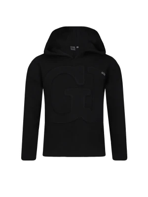 GUESS ACTIVE Bluza | Regular Fit