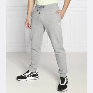 GUESS ACTIVE Spodnie dresowe ALDWIN | Regular Fit