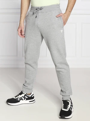 GUESS ACTIVE Spodnie dresowe ALDWIN | Regular Fit szary